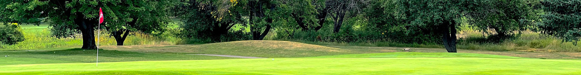 A tranquil golf course landscape featuring a close-up of a putting green with a flagstick.
